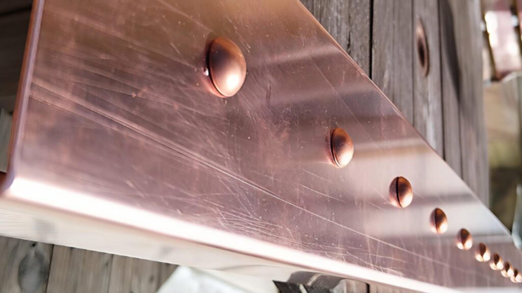 279596793 3249547581982497 227548630141257393 n